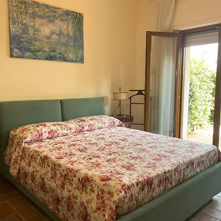 Alexa Виареджо